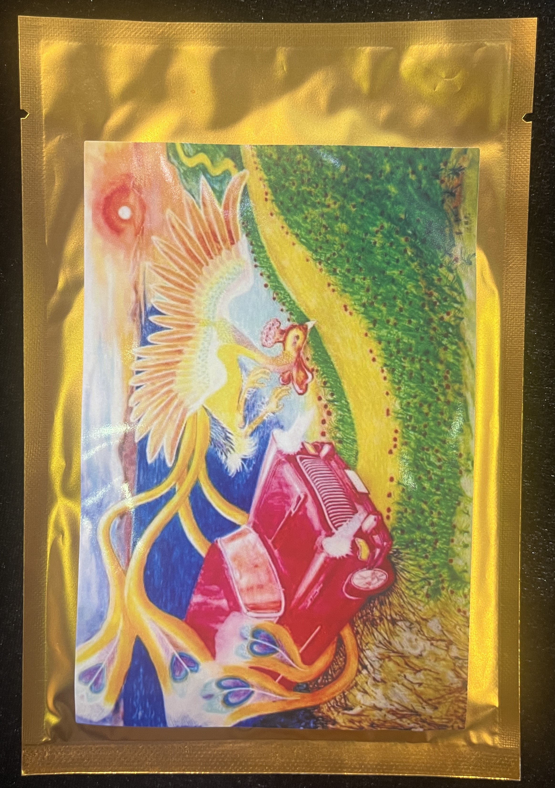 M007 汪恩光面膜